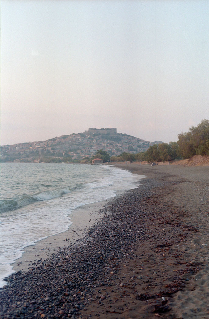 Summer2020 Analog Photolgaphy 16