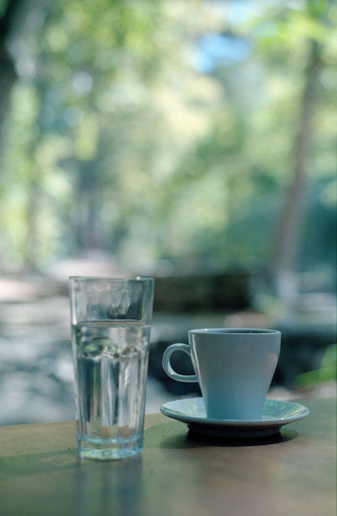 Summer2020 Analog Photolgaphy 7