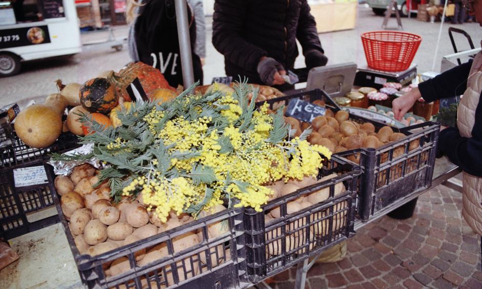 South France on film 