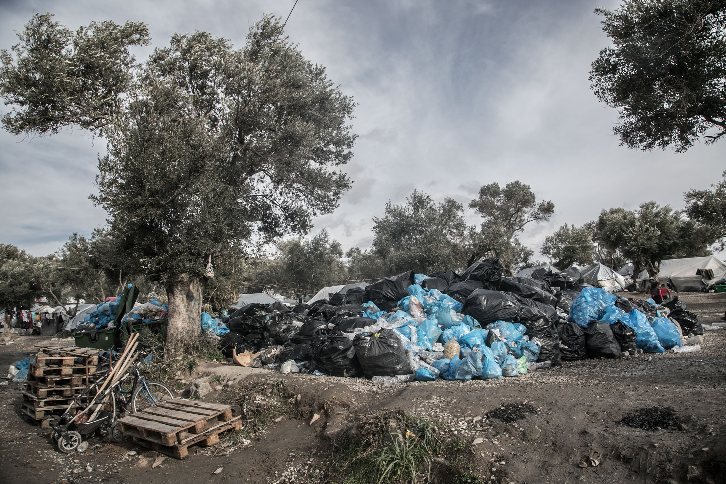 Moria Photolgaphy 29 1 2020 16