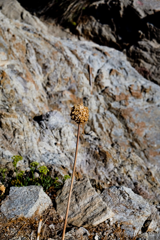 Ikaria 18