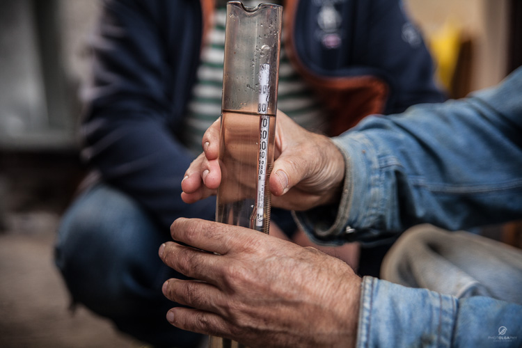 Tsipouria 2018 Photolgaphysite 15