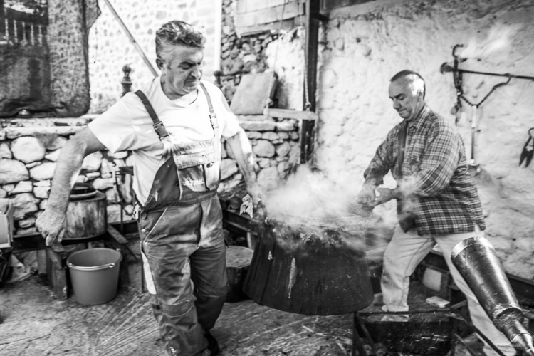 Tsipouria 2018 Photolgaphysite 21