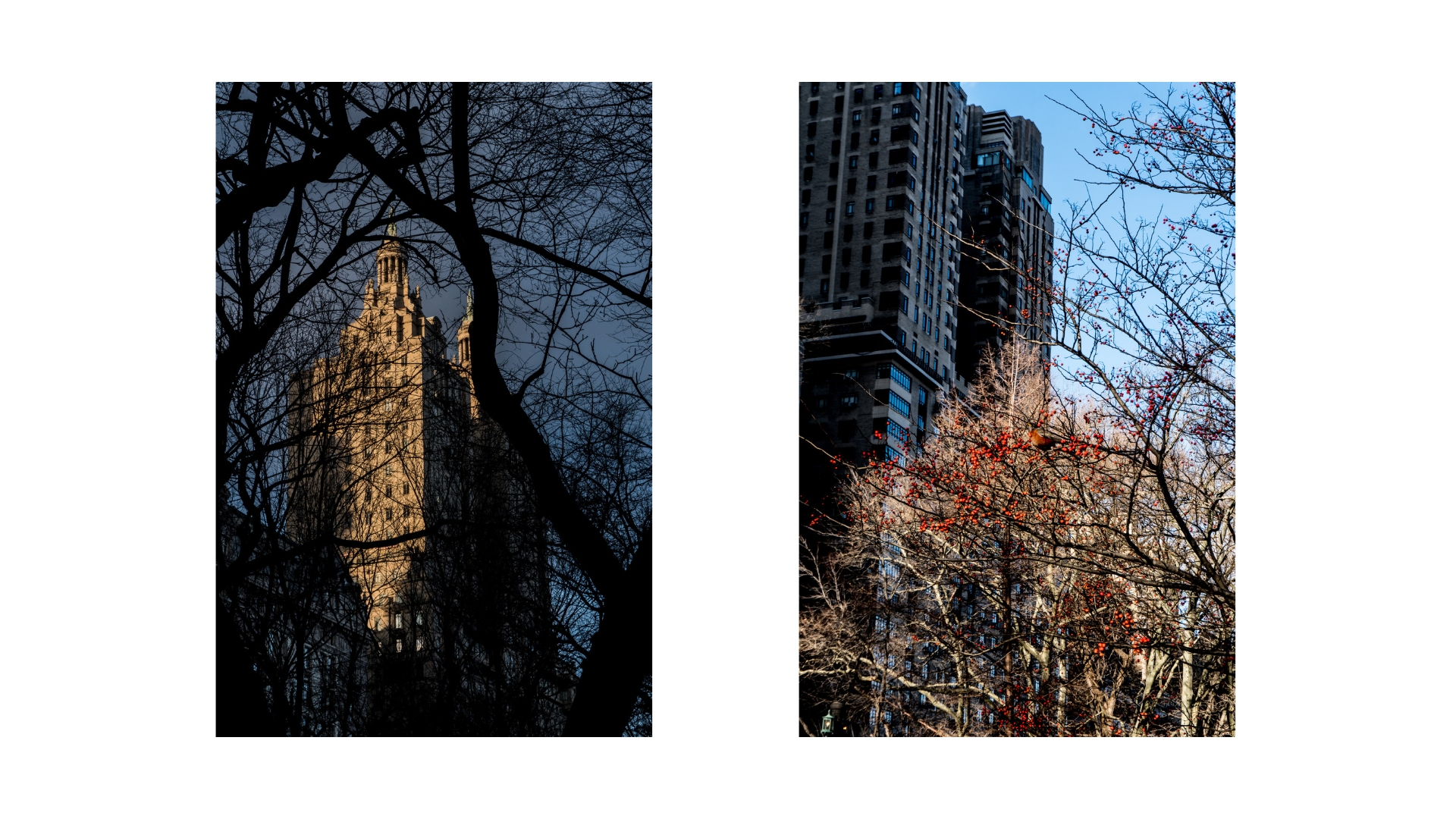 Centrallight