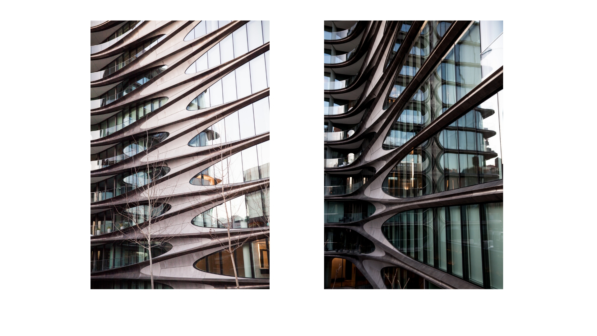 Untitled Design1