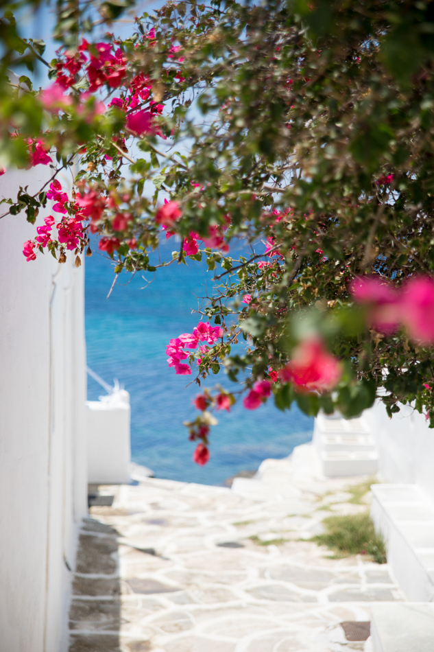 Sifnos 24