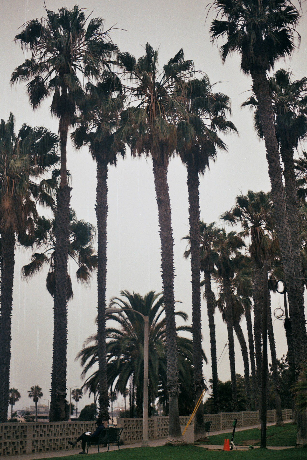 Filmla 18