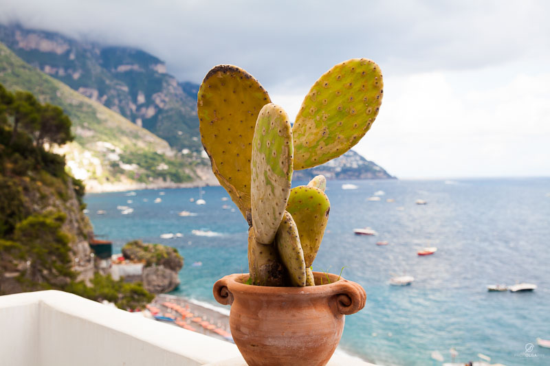 Positanosorrentosite 31