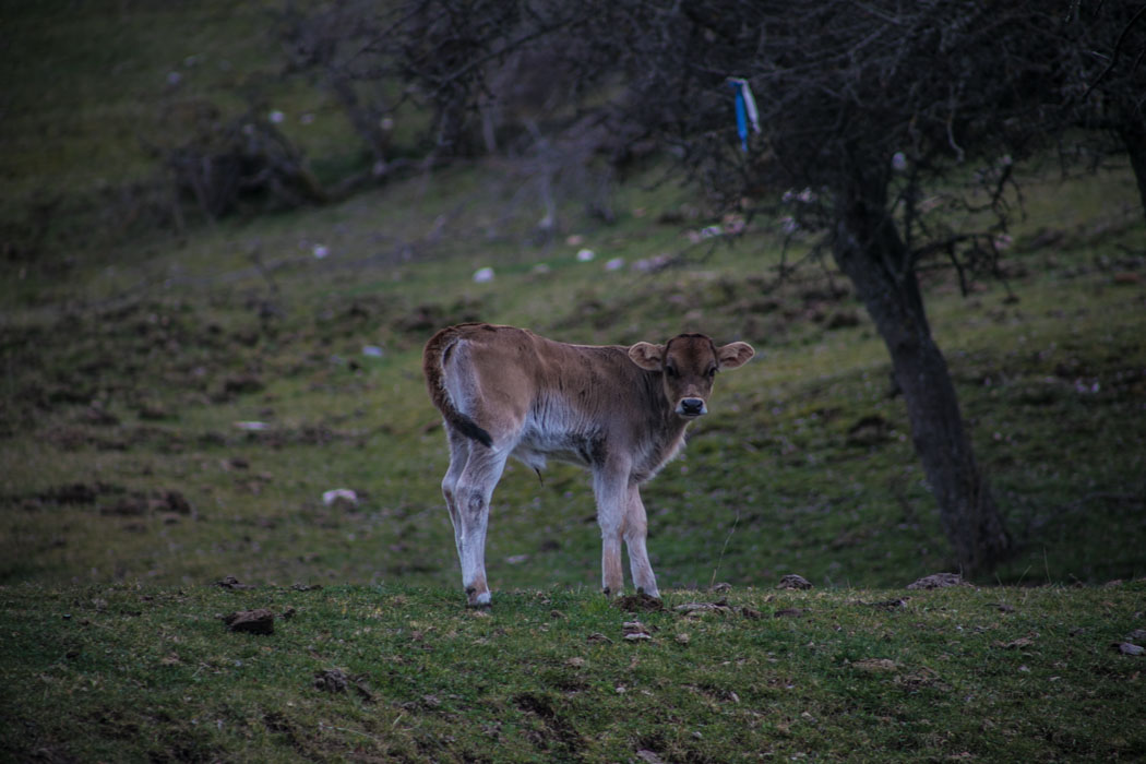 Prespa 36