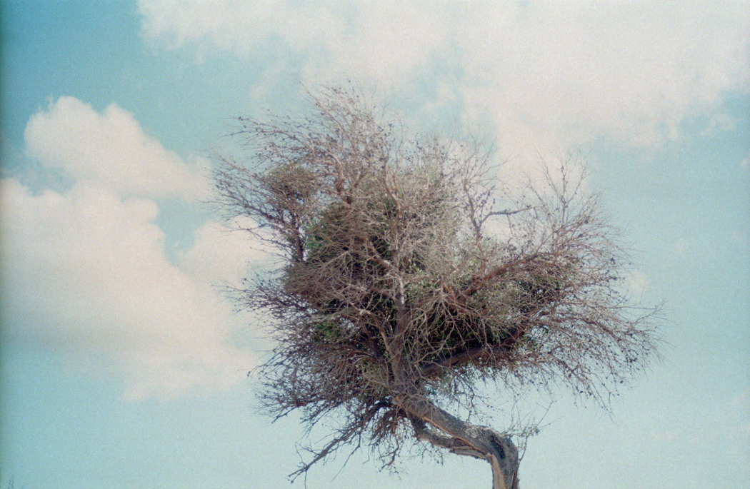 Kosonfilm 10